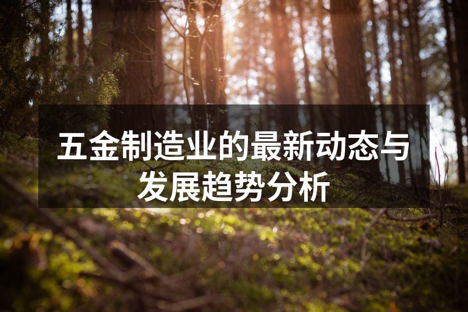 五金制造业的最新动态与发展趋势分析